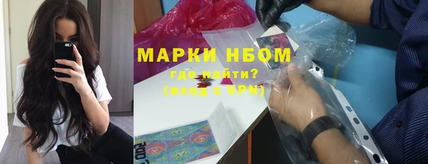 сатива Баксан