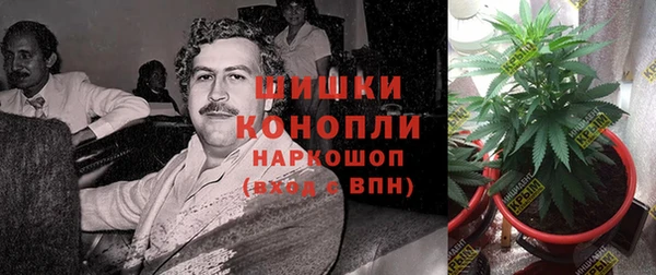 сатива Баксан