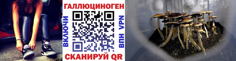 Галлюциногенные грибы мухоморы  Верхняя Пышма 